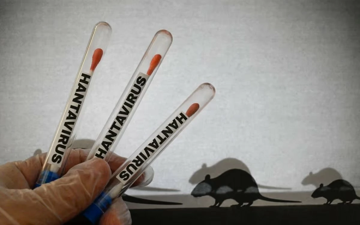 Hantavirus risk remains low in Kuwait